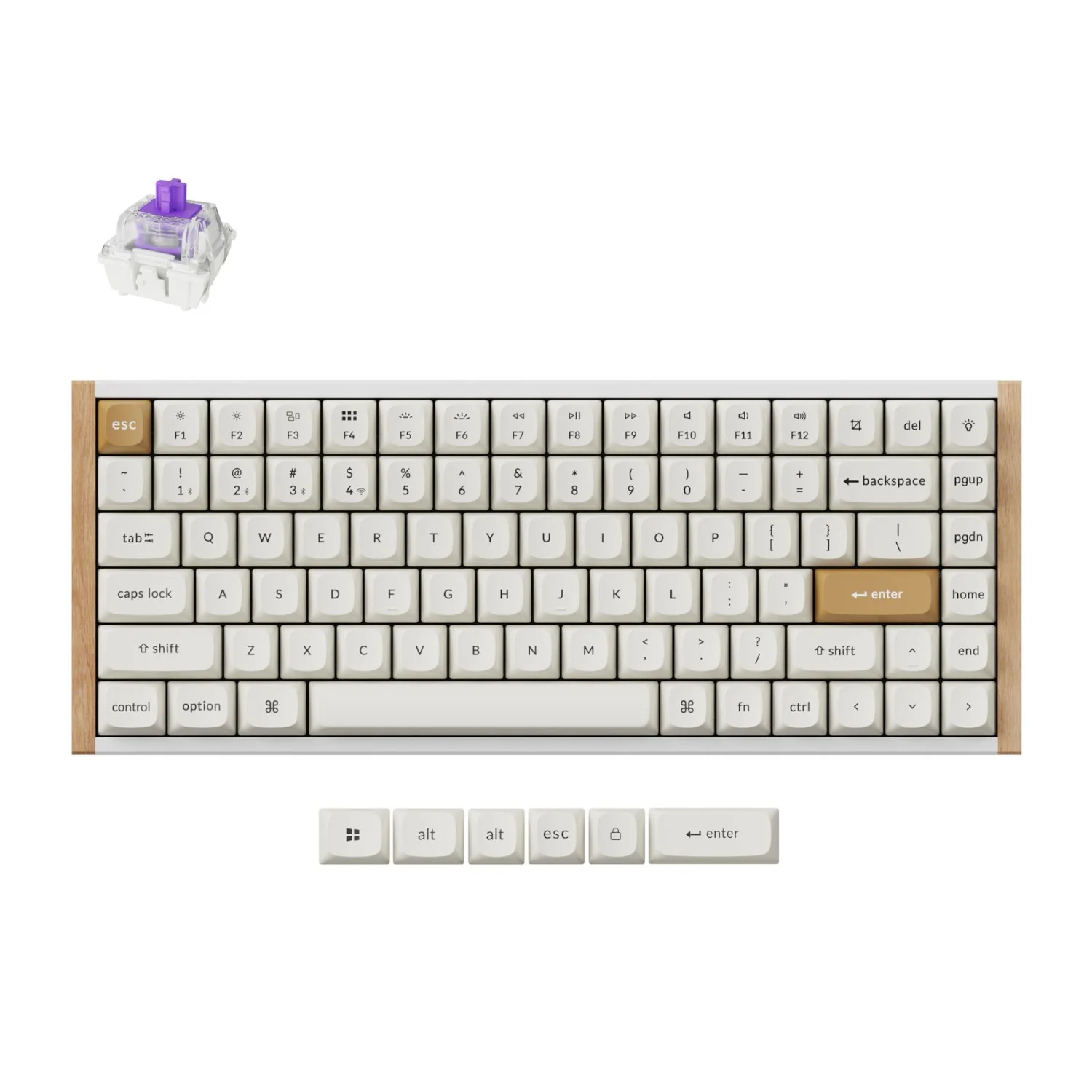 Keychron K2 HE Wireless Special Edition Magnetic Custom Keyboard | NEBULA Switch – White - Image 5