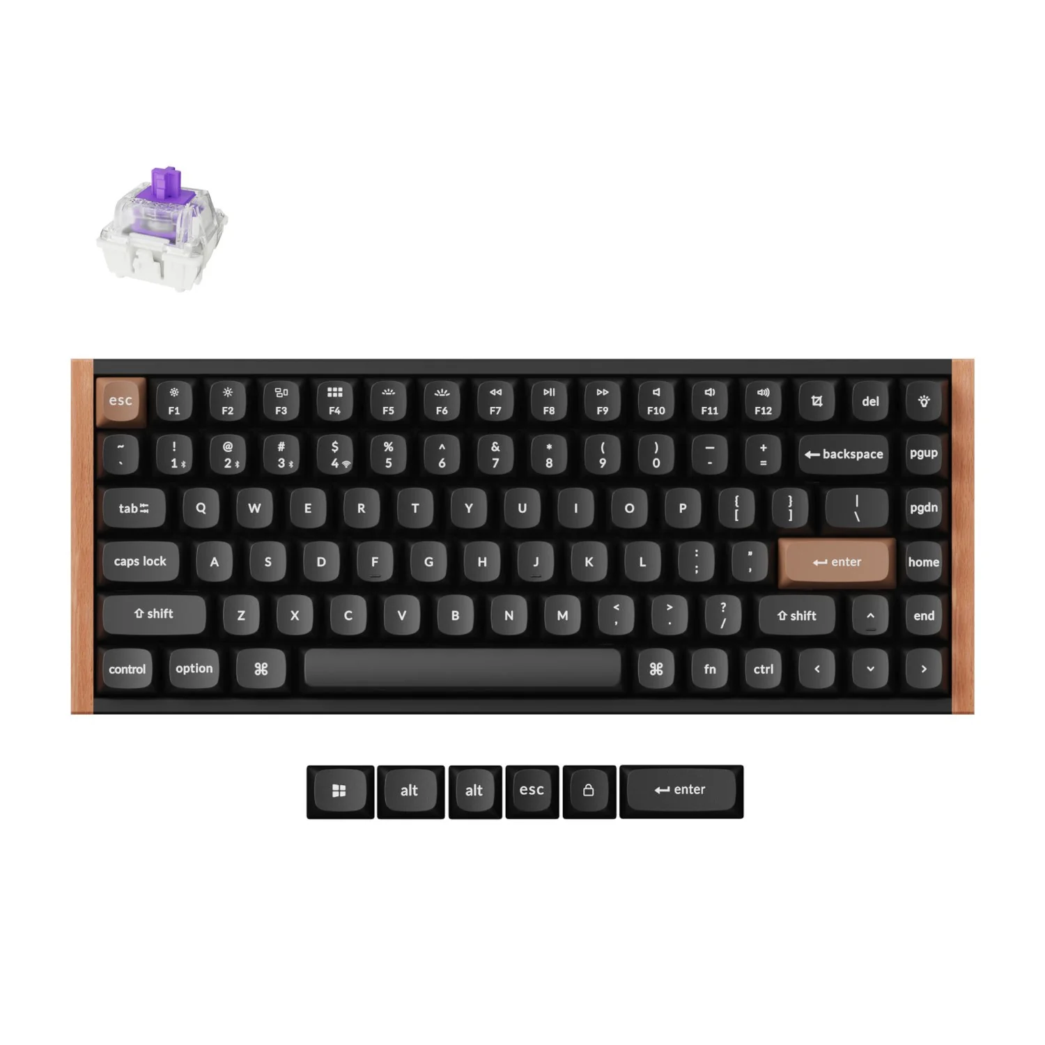 Keychron K2 HE Wireless Special Edition Magnetic Custom Keyboard | NEBULA Switch – Black - Image 5