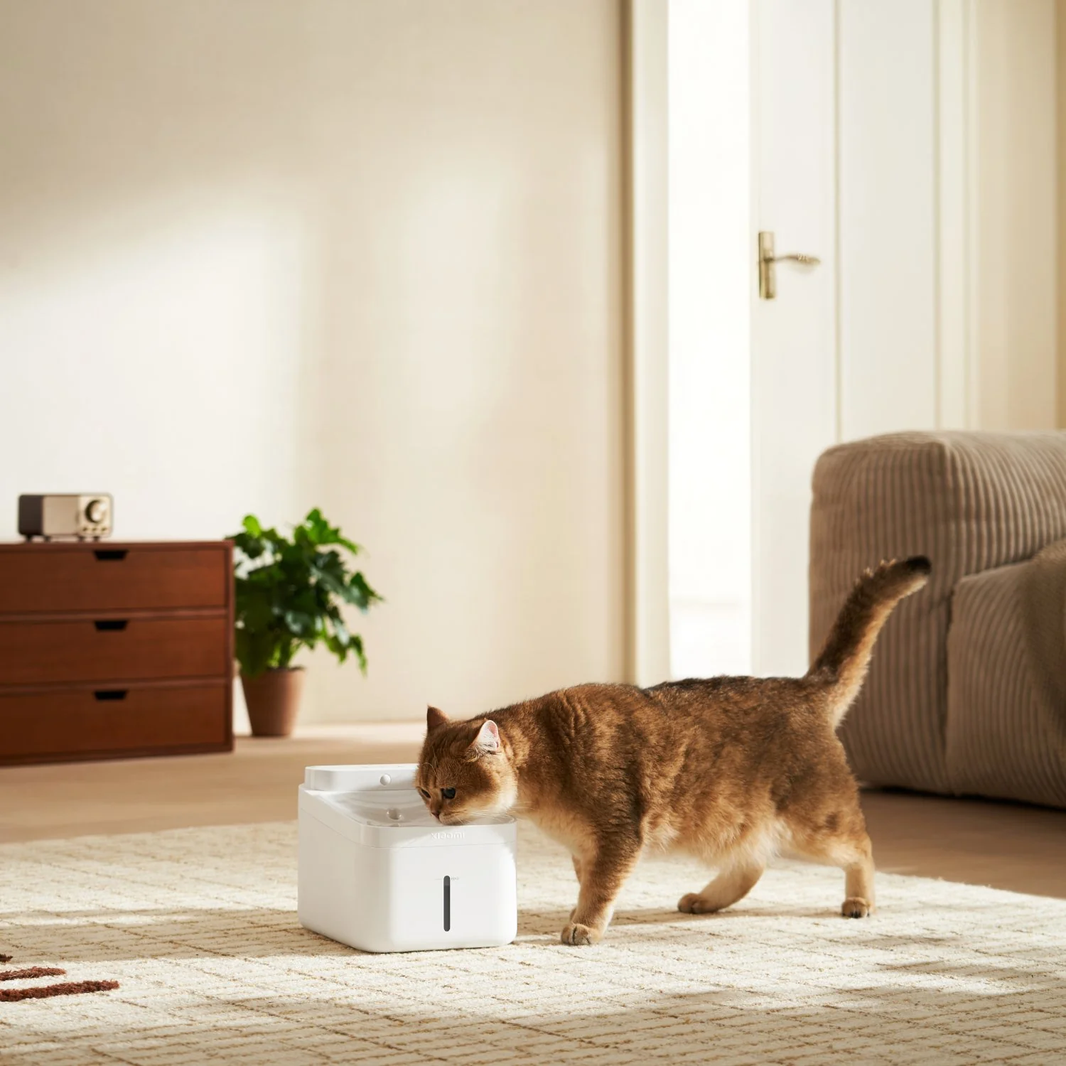 Xiaomi Smart Pet Fountain 2 - Image 4